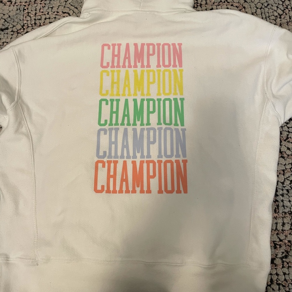 Champion Pastel Hoodie